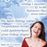 Skyltsöndag 2013