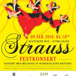 Strauss 2010