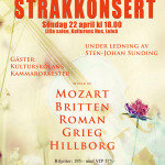 Stråkkonsert 2012