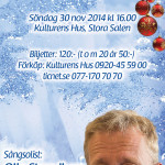 Skyltsöndag 2014