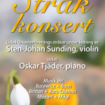Stråkkonsert 2016