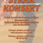 Stråkkonsert 2018